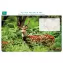 Museums Galleries Museums & Galleries Planer Tygodniowy Chital Deer 52 Kartki