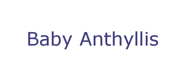 baby anthyllis