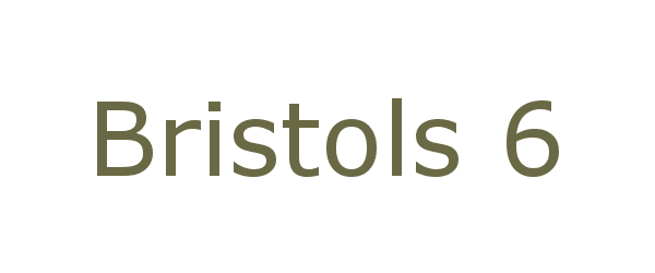 bristols 6