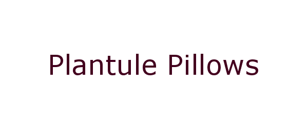 plantule pillows