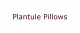 plantule pillows na Handlujemy pl