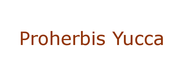 proherbis yucca