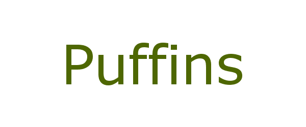 puffins