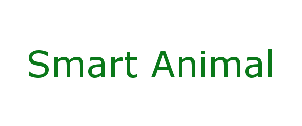 smart animal