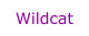 wildcat na Handlujemy pl