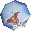 Doppler Parasolka Art Magic Mini Daily Dog