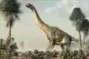 Fototapeta Dinozaur 4327