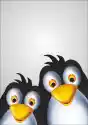 Plakat Dla Dzieci Pingwiny P030