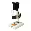 Levenhuk Mikroskop Levenhuk 2St