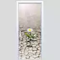 Deco Wall Fototapety Na Drzwi Kwiat 606A