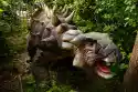 Fototapeta Dinozaur 1190