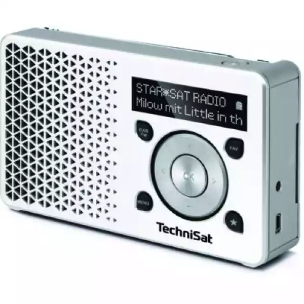 Radio Technisat Digitradio 1 Biało-Srebrny