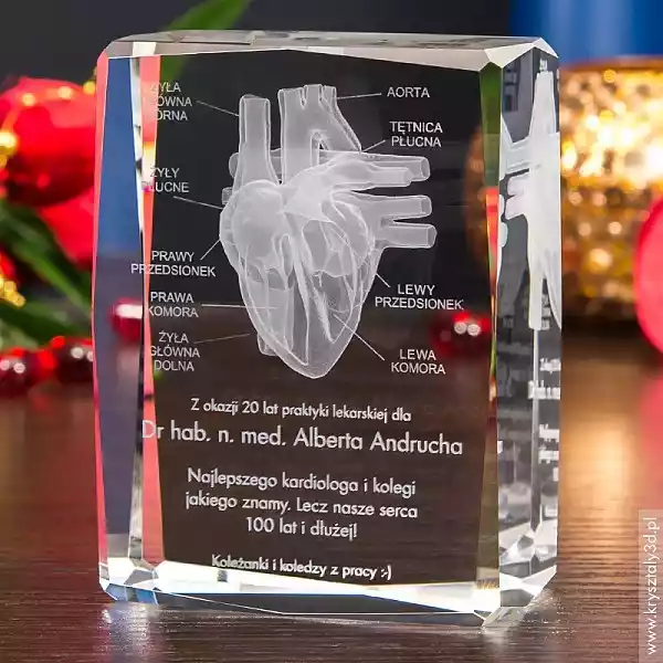 Anatomia Serca 3D • Prezent Dla Kardiologa • Personalizacja Grat