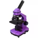Mikroskop Levenhuk Rainbow 2L Plus Ametyst