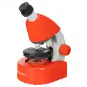 Mikroskop Discovery Micro Z Książką Terra