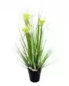 Miloo :: Sztuczna Trawa Dekoracyjna Sunny Flower Wys. 55 Cm