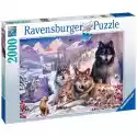 Ravensburger Puzzle Ravensburger Wilki W Śniegu 16012 (2000 Elementów)