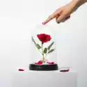 Lampa Z Różą