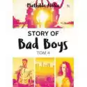  Story Of Bad Boys. Tom 4 