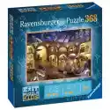 Ravensburger Puzzle Ravensburger Muzeum Historii Naturalnej 12925 (368 Elemen