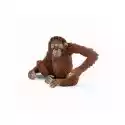 Schleich Figurka Orangutan Samica Schleich 14775