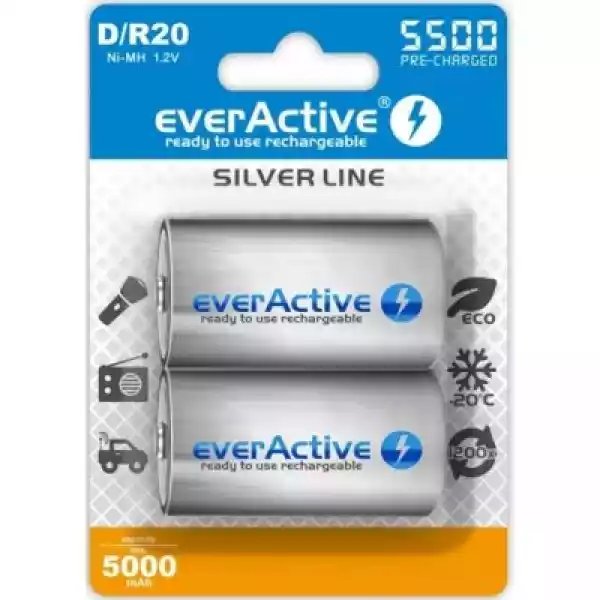 Akumulatorki D 5500 Mah Everactive (2 Szt)