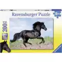 Ravensburger Puzzle Ravensburger Piękno Konia 12803 (200 Elementów)