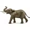 Schleich Figurka Słoń Afrykański Schleich 14762