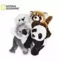 National Geographic  Dzieci Zwierząt Mix National Geographic