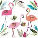 Museums & Galleries Karnet 3 Flamingos Z Kopertą 