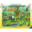 Ravensburger Puzzle Ravensburger Co Tu Pasuje?: Zwierzęta Lasu Deszczowego 51