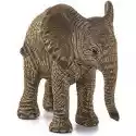 Schleich Figurka Mały Słoń Afrykański Schleich 14763