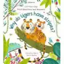  Lift-The-Flap First Questions And Answers Why Do Tigers Have St