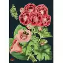 Madame Treacle Karnet B6 Z Kopertą Różowa Pelargonia 