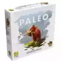  Paleo 