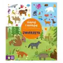 Zielona Sowa Książka Dla Dzieci Szukaj I Naklejaj Zwierzęta