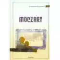  Moczary /n/ 