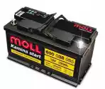 Moll Kamina Start Akumulator 100Ah 850A P+