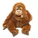 Wwf Plush Collection  Orangutan Mama Z Dzieckiem 30Cm Wwf Wwf Plush Collection