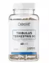 Osrtovit Ostrovit Tribulus Terrestris 90 60 Tabletek