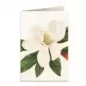Tassotti Tassotti Karnet B6 + Koperta 5601 Kwiat Magnolii 