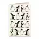 Tassotti Tassotti Karnet B6 + Koperta 5608 Pingwiny 