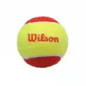 Wilson Piłki Do Tenisa Wilson Starter Red 13700B 1 Szt
