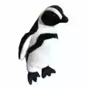  Maskotka Pingwin Humboldta 23 Cm Beppe