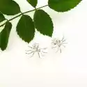 Kolczyki - Pajączki Białe