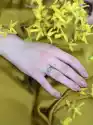 Pierścionek Srebrny Oksydowany- Polny Kwiat