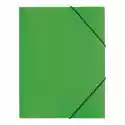 Pagna Teczka Z Gumką A4 Trend Pp 3 Skrzydłowa, Zielony