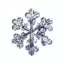 Naklejka Płatek Śniegu Makro Naturalny Kryształ
