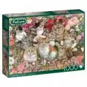 Jumbo  Puzzle 1000 El. Koty I Kwiaty Jumbo