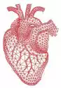 Naklejka Czerwone Serce Człowieka Z Geometrycznej Strukturze Sia